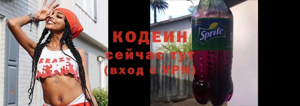 не бодяженный Заводоуковск