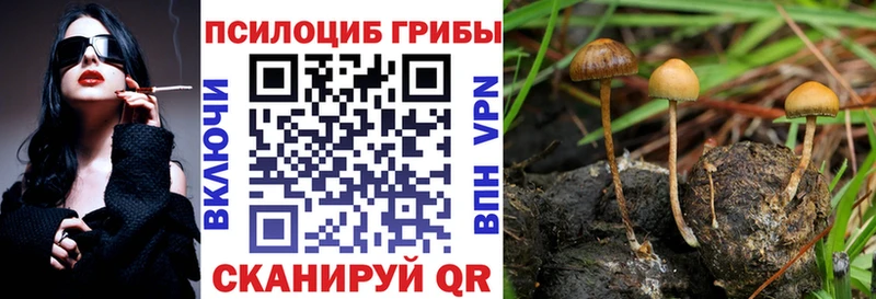 кракен зеркало  Шагонар  Псилоцибиновые грибы прущие грибы 